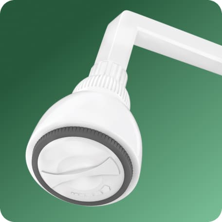 Adjustable Shower with Flange